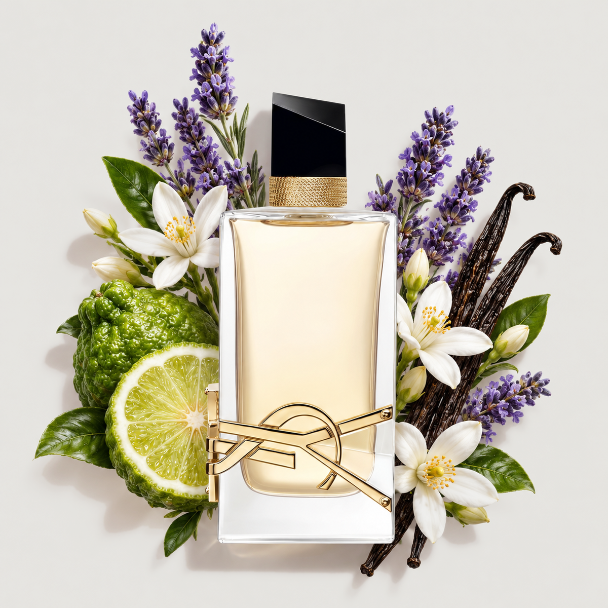 Libre – Women’s Eau de Parfum 3 fl ozLibre – Women’s Eau de Parfum 3 fl oz